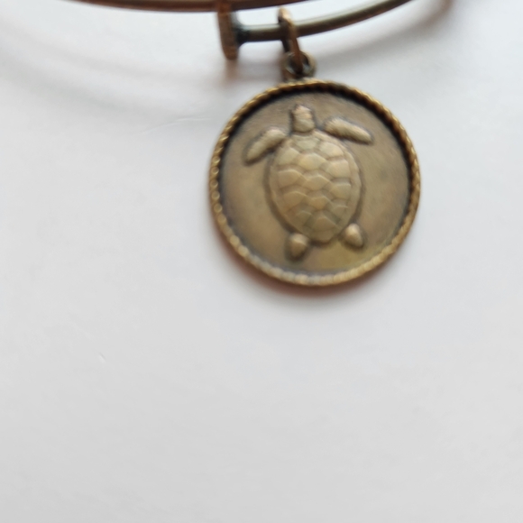Bronze Turtle Charm Bracelet - Picture 2 of 3